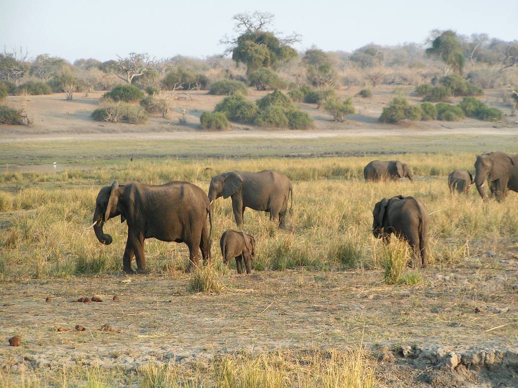 03Afrika