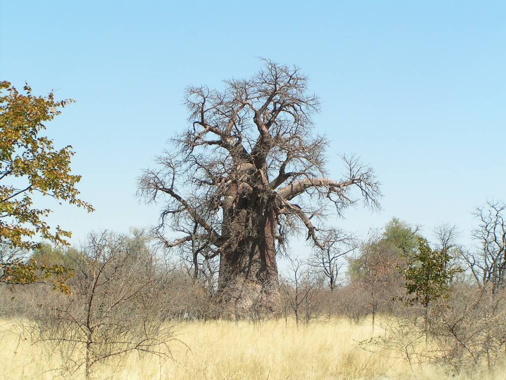 04Afrika