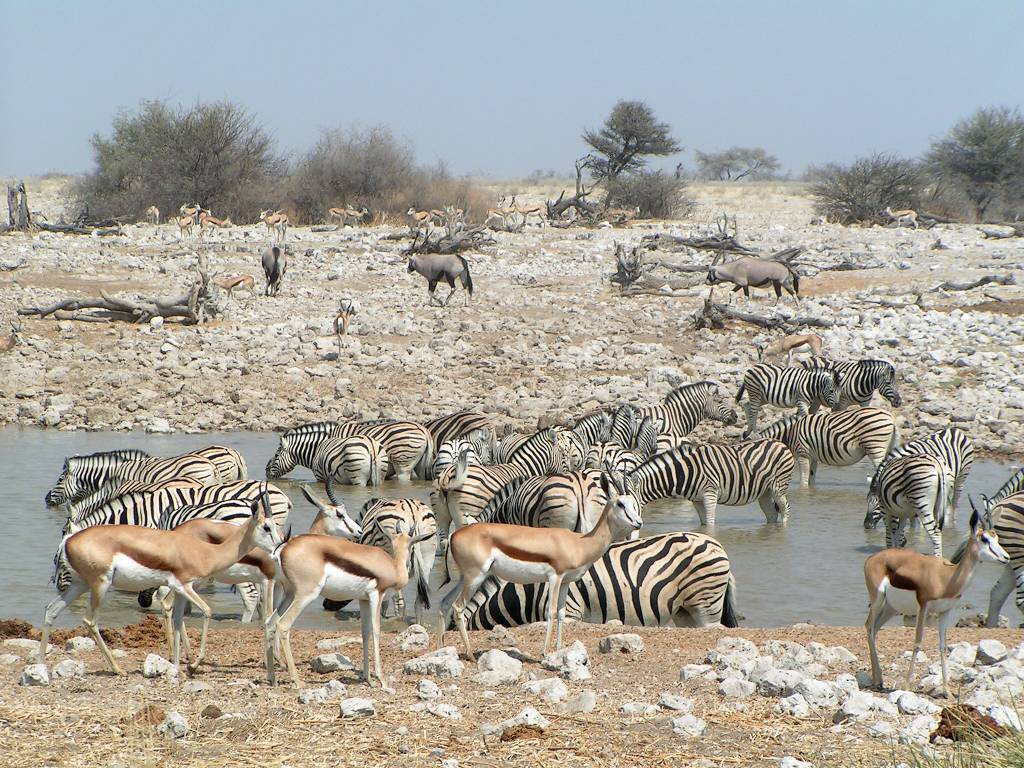 09Afrika