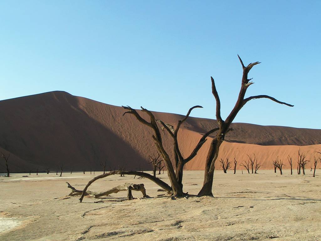 14Afrika
