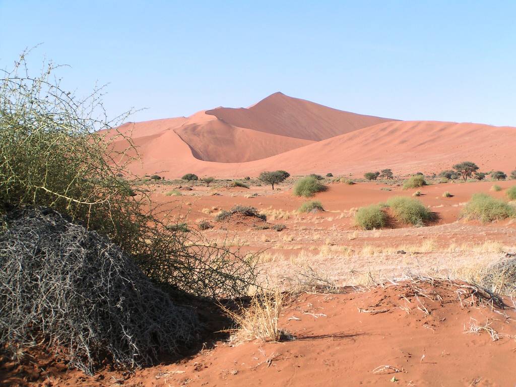 15Afrika