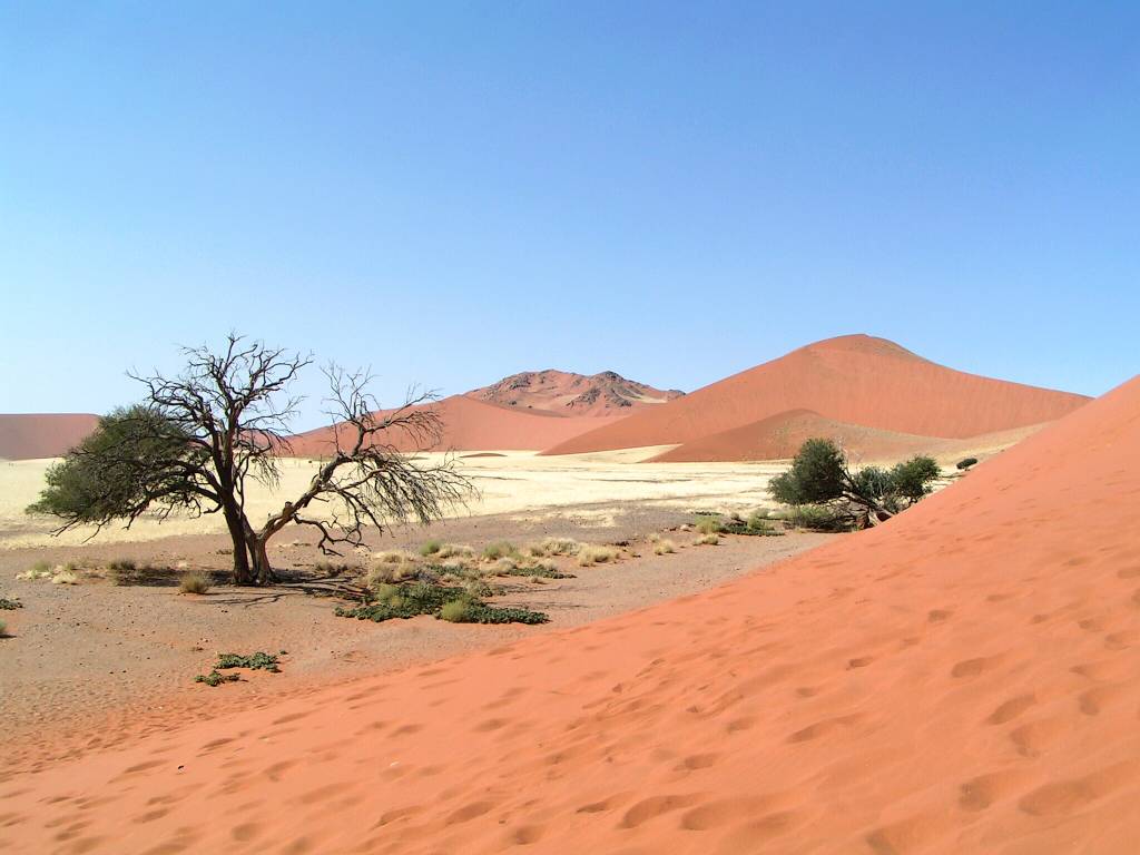 16Afrika
